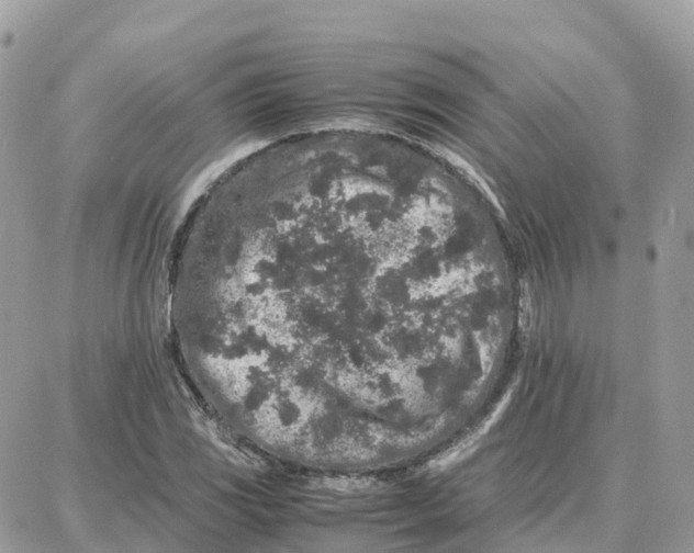 X0000087671117200706011622