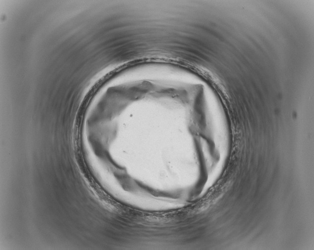X0000087671125200706011622