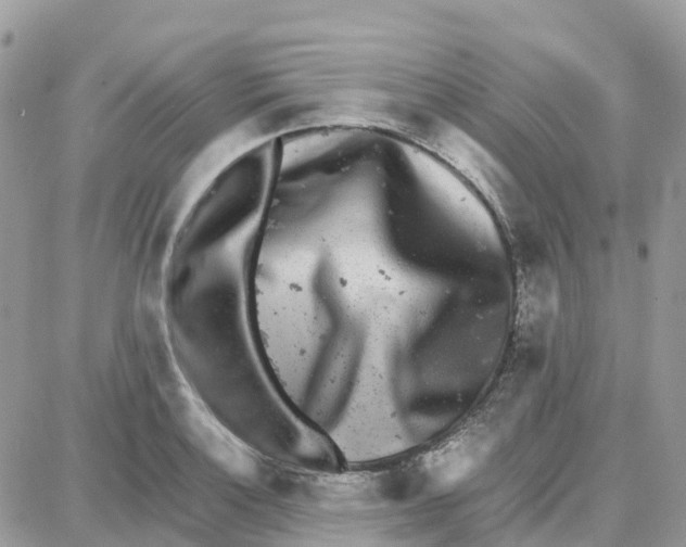 X0000087671132200706011622