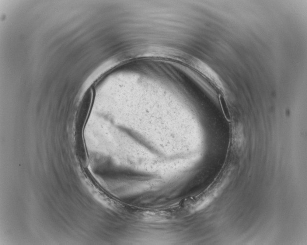 X0000087671138200706011622