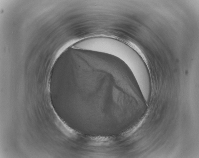 X0000087671141200706011622