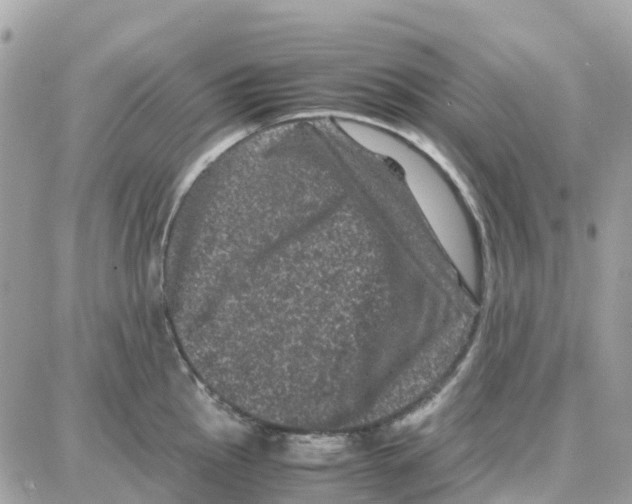 X0000087671145200706011622
