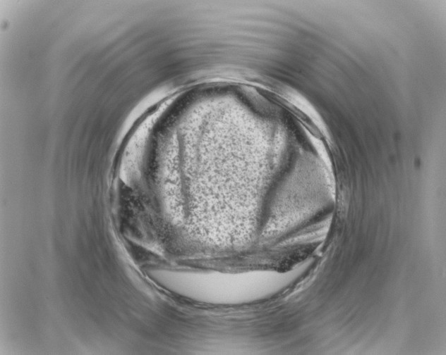 X0000087671146200706011623