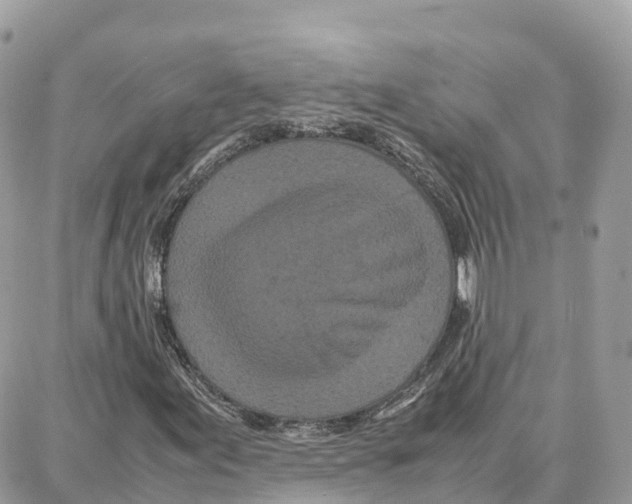 X0000087671155200706011622