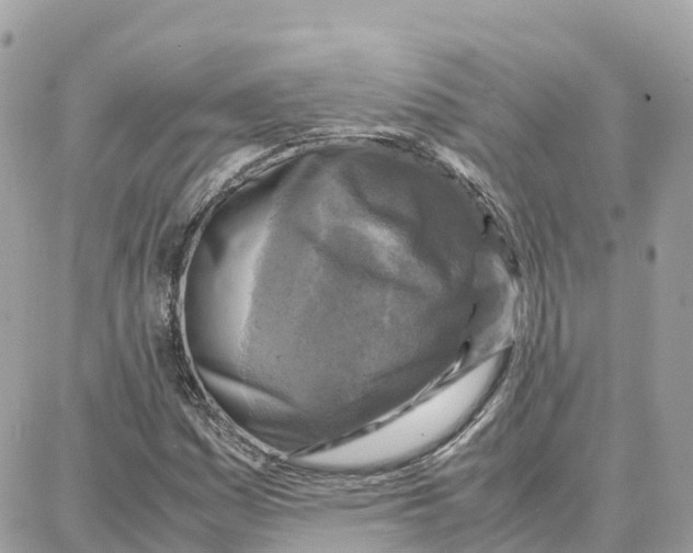 X0000087671161200706011622