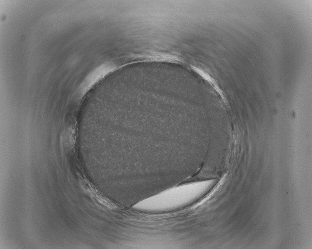 X0000087671163200706011622
