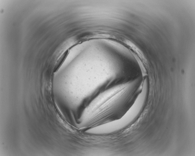 X0000087671193200706011621