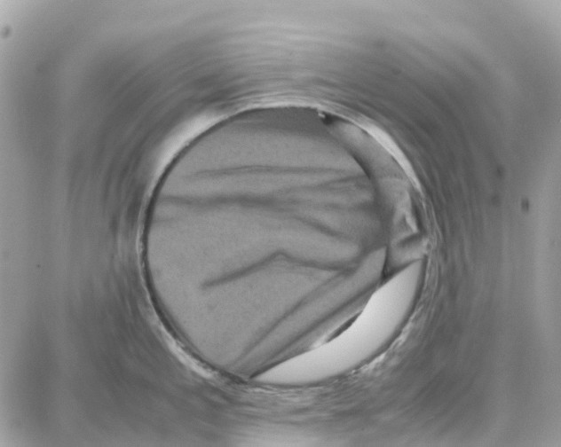 X0000087671197200706011621