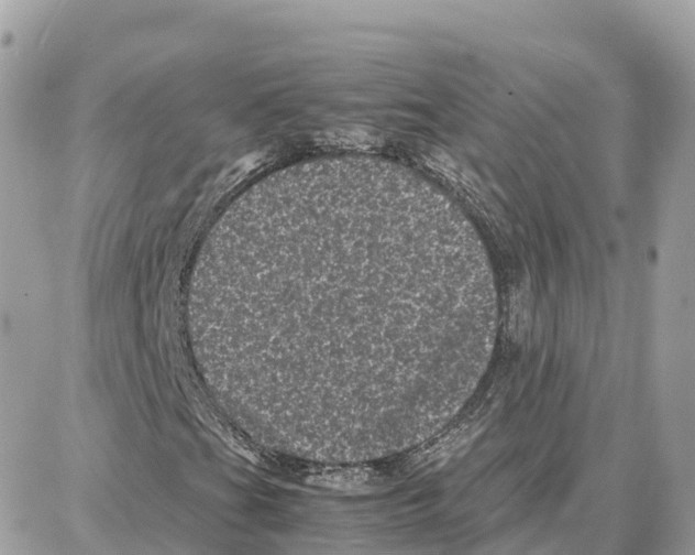 X0000087671201200706011620