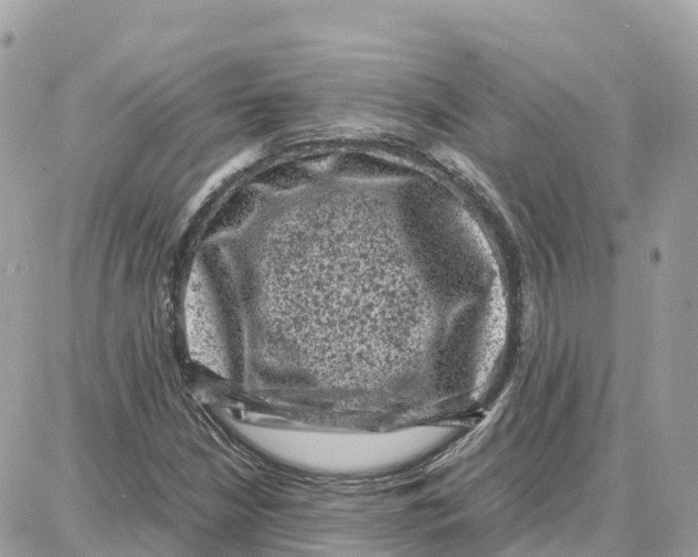 X0000087671210200706011620