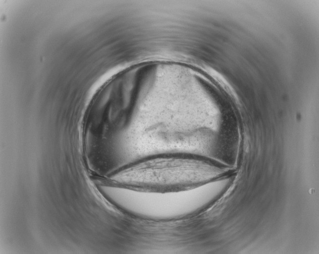 X0000087671238200706011621