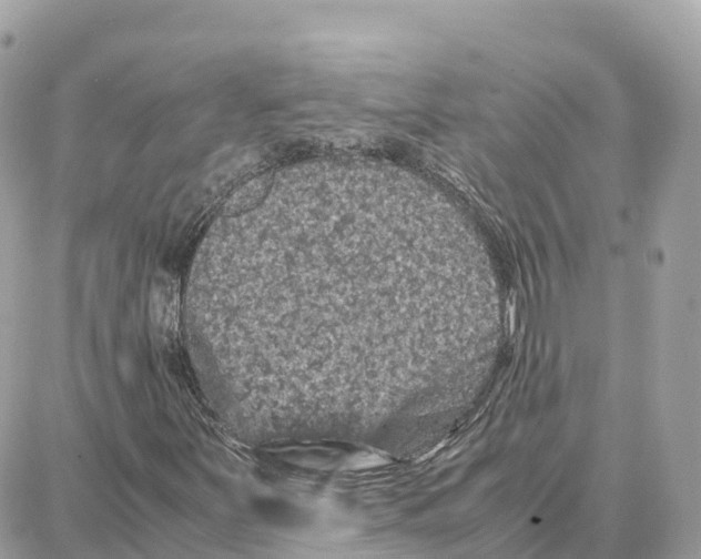 X0000087671251200706011620