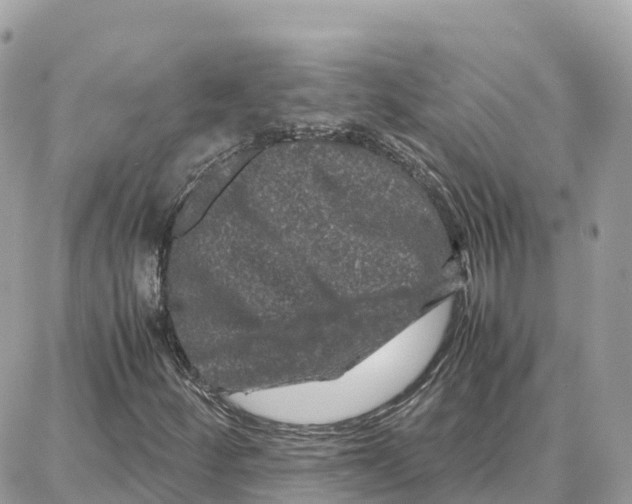 X0000087671252200706011620