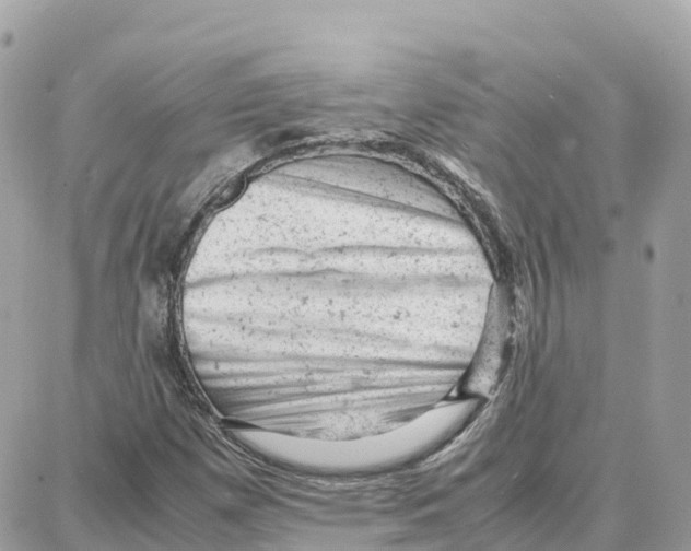 X0000087671257200706011620