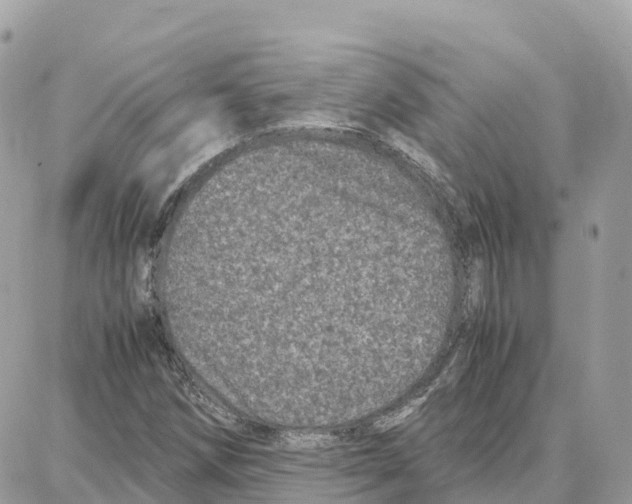 X0000087671258200706011620