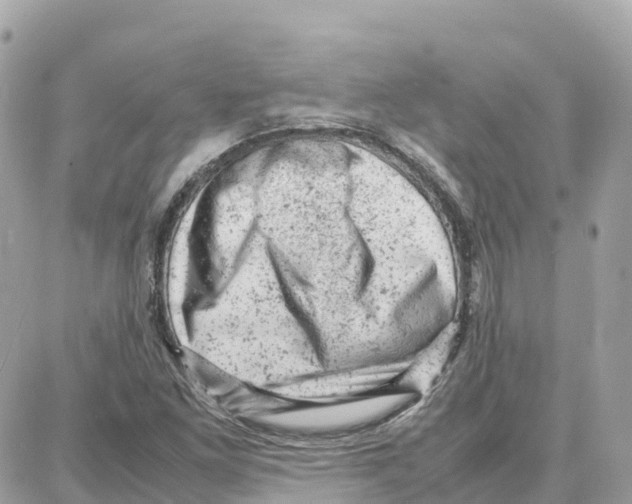 X0000087671261200706011620