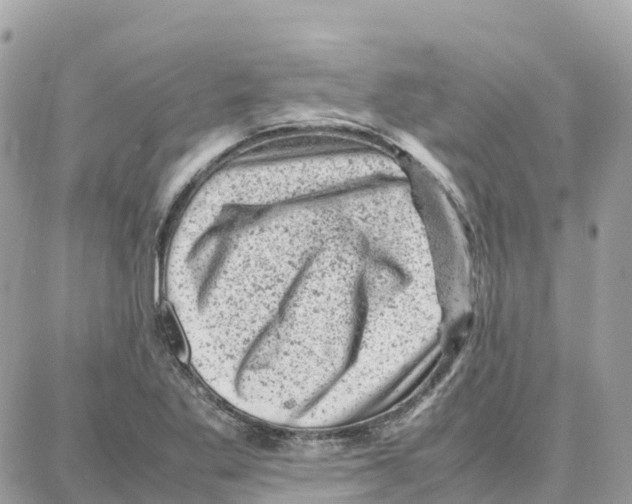 X0000087671269200706011620