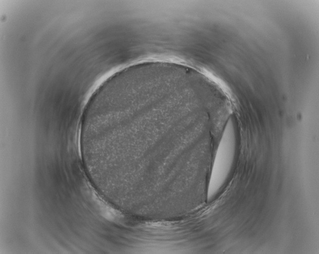 X0000087671272200706011620