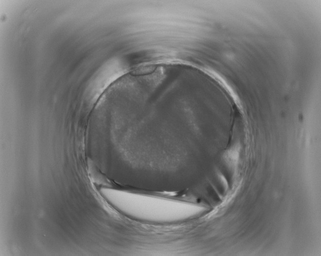 X0000087671289200706011620