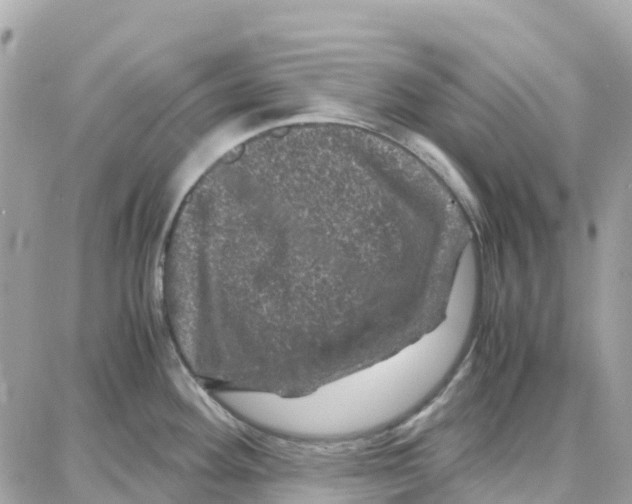 X0000087671292200706011620