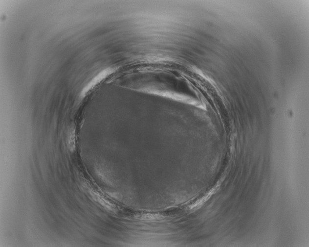 X0000087671306200706011619