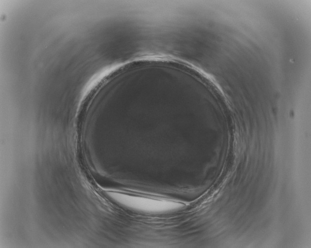 X0000087671319200706011619