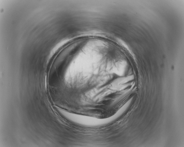 X0000087671320200706011619