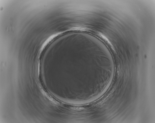 X0000087671323200706011619