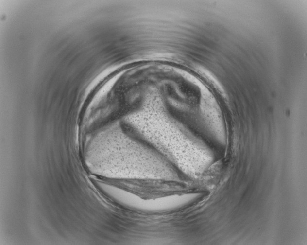 X0000087671324200706011619