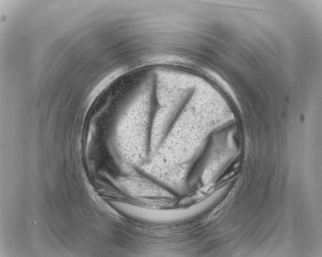 X0000087671330200706011619