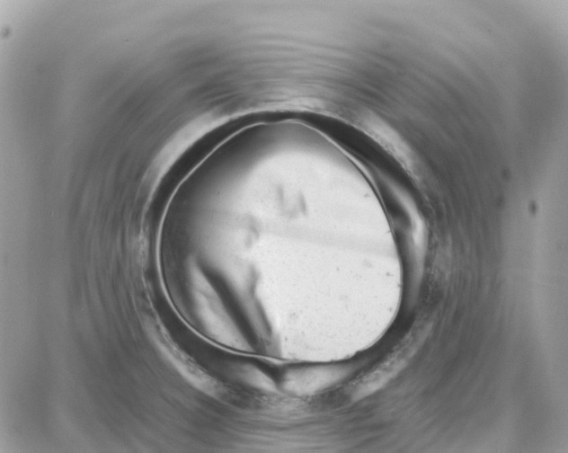 X0000087671332200706011619