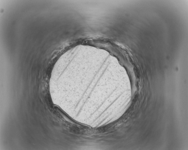 X0000087671349200706011618