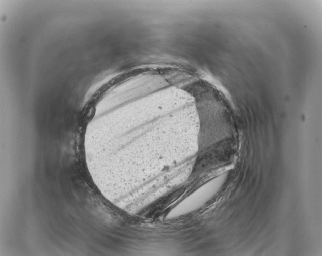 X0000087671352200706011618
