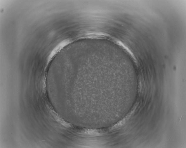 X0000087671362200706011618