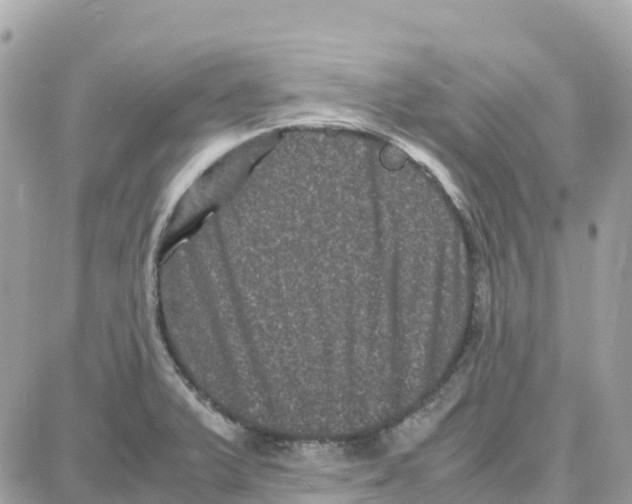 X0000087671375200706011618
