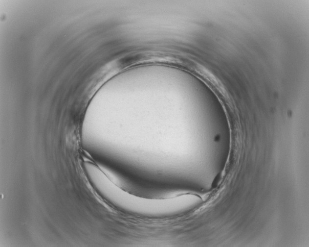 X0000087671377200706011618