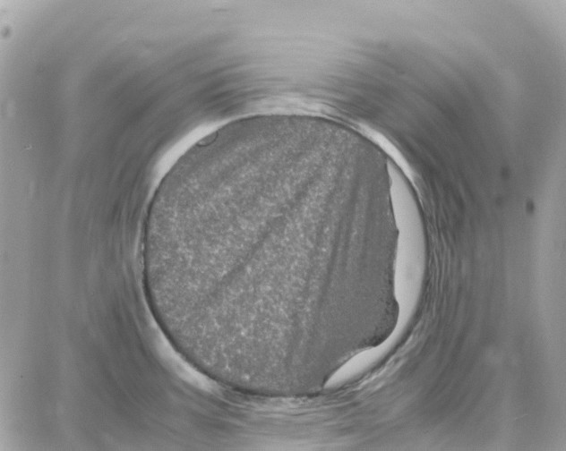 X0000087671387200706011618