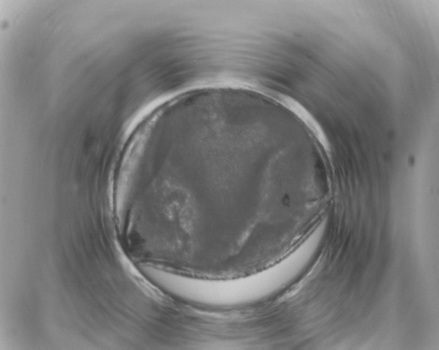 X0000087671388200706011618