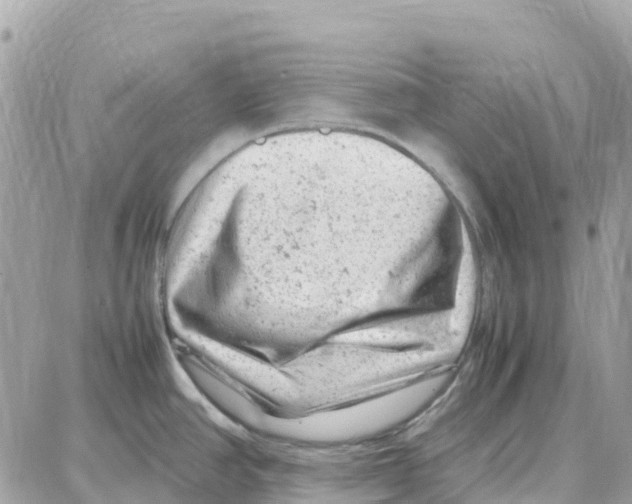 X0000087671390200706011618