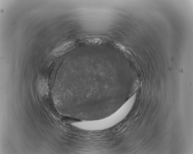 X0000087671394200706011617
