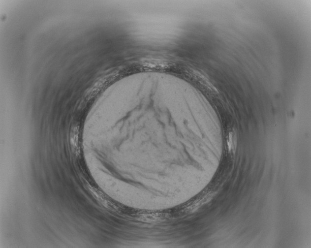 X0000087671396200706011617
