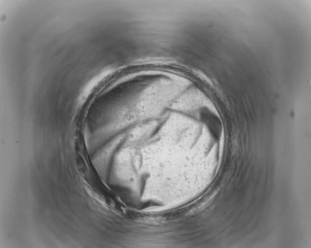 X0000087671406200706011617