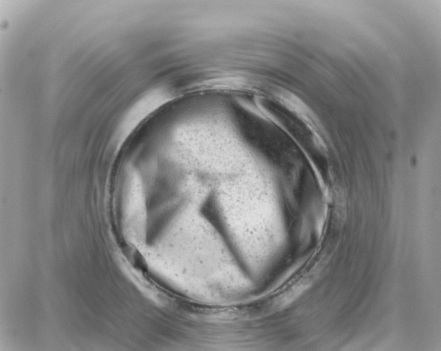 X0000087671426200706011617
