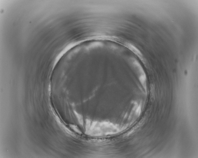 X0000087671428200706011618