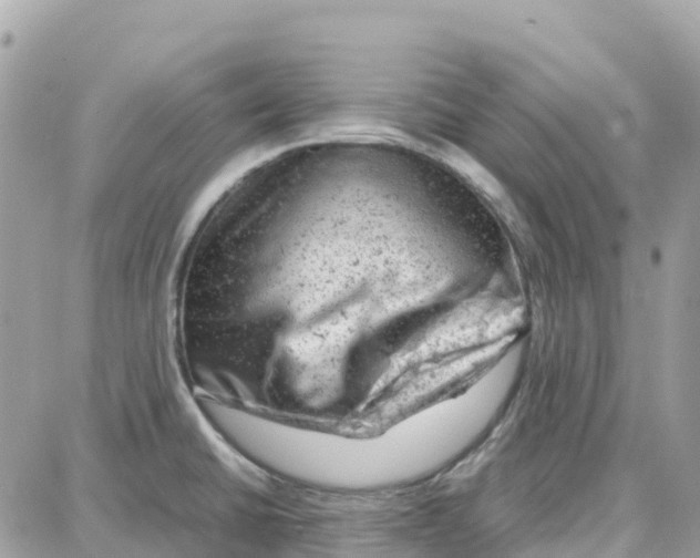 X0000087671430200706011618
