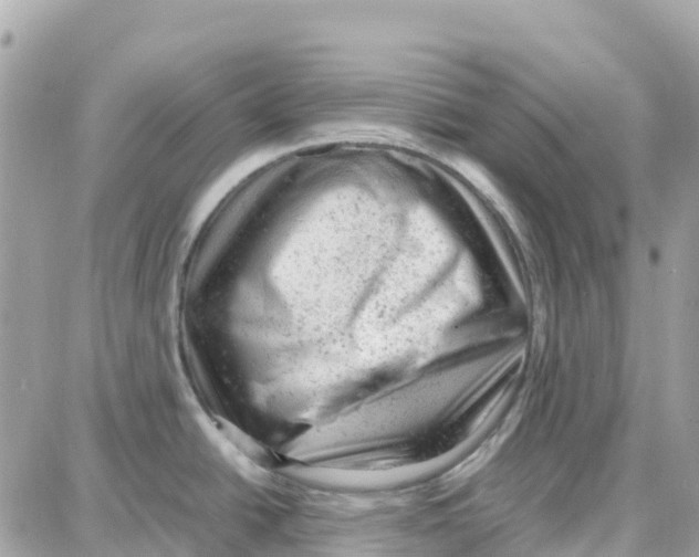 X0000087671438200706011618