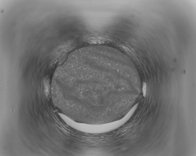 X0000087671444200706011617