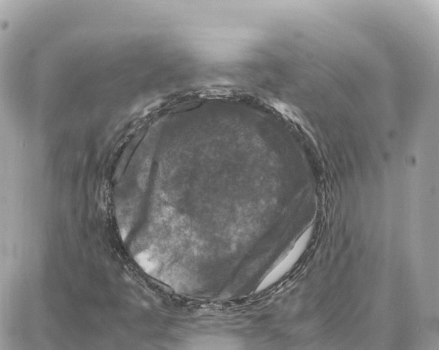 X0000087671445200706011617