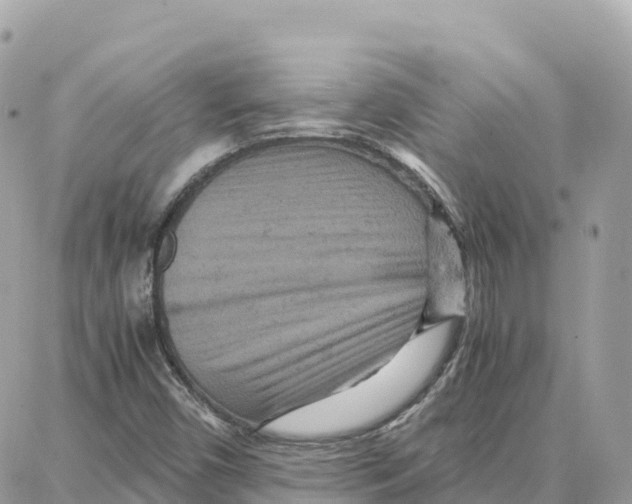 X0000087671450200706011617