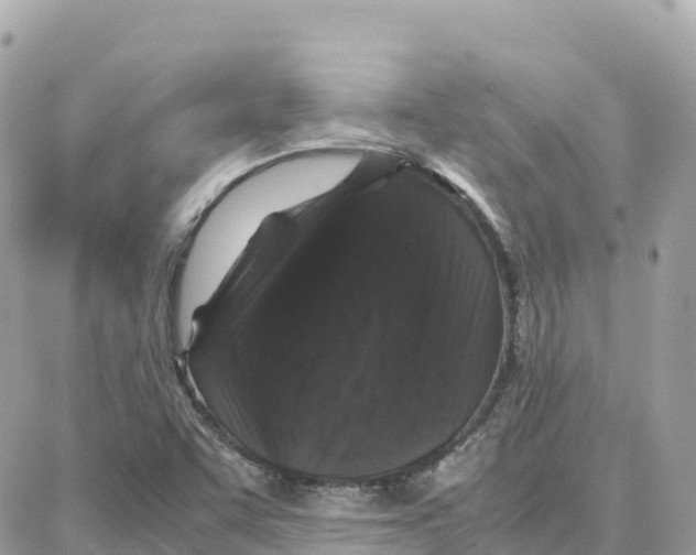X0000087671455200706011617